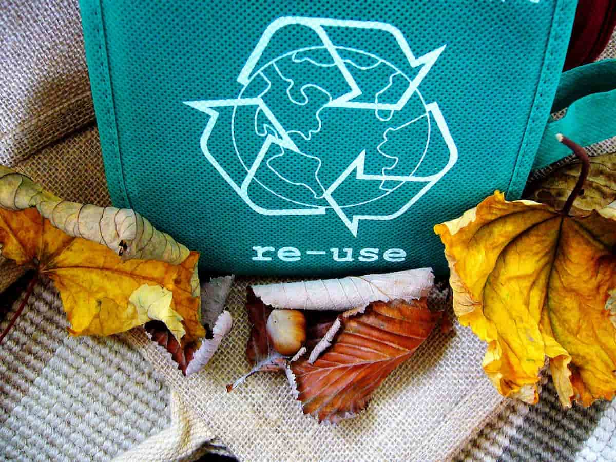 what-to-do-with-reusable-bags