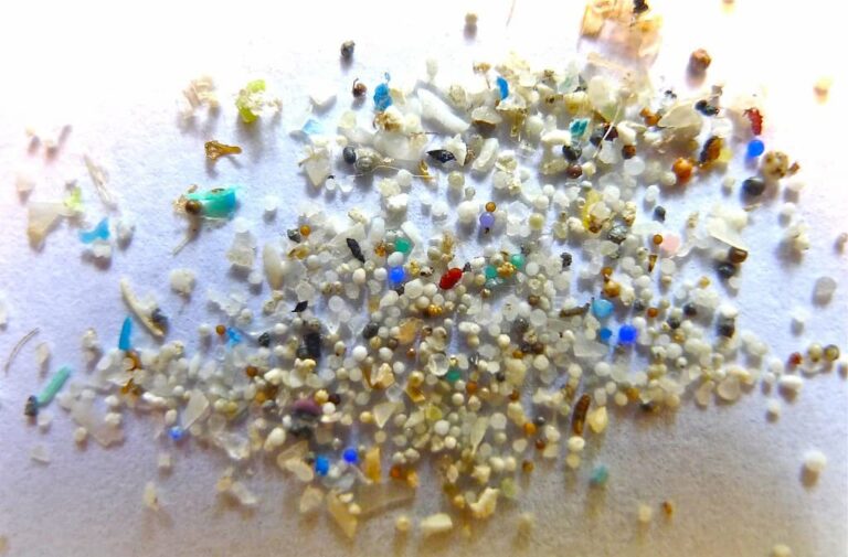 Plant-Based-Polymers-to-combat-microplastics