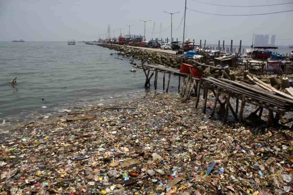 china-sea-pollution